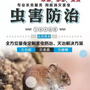 上海灭鼠消杀公司 灭蟑螂 全上海除虫灭鼠公司电话咨询