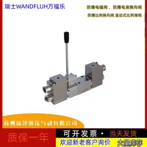 ��ʿWANDFLUH���ַ�����ŷ�AEXd4Z65b-G24/L15