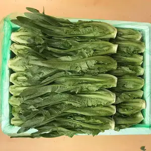 河源 专业提供食堂饭堂承包,食堂托管,膳食管理等服务