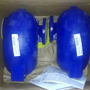 GESTRA液位控制器NRG17-51,PN63,G3/4,L=500mm