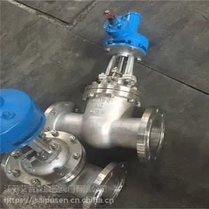 Z541Wɡ���ֲ����բ��DN300-1600