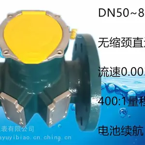 DN300双通道四通道超声波水表流量计