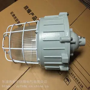 ����������BAD81-L150B1Z-150W��±�Ʊ�ʽ��װ