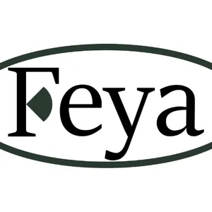 上海feya音响代理商 嘉兴市彩音电声科技供应