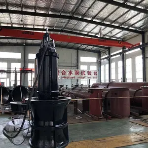 1200QZB 潜水轴流泵 上海厂家天昊泵业