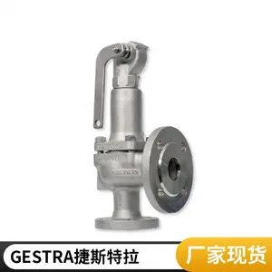 �¹�GESTRA ��������������, ͨ���ֶ����� TS 36