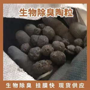 高效净水陶粒滤料 市政污水 / 工业废水深度处理 易反冲洗寿命长