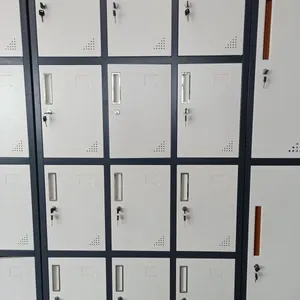 重庆健身房更衣柜 新款 瑜伽馆换衣铁柜 员工存包柜 厂家直销