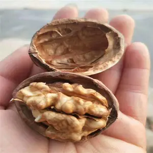 惠农农业 清香核桃苗 嫁接核桃品种 结果早抗寒耐旱薄皮核桃树