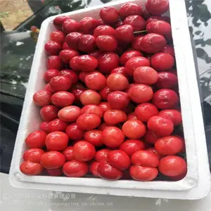 ��ӣ���� ����ũҵ ������ӣ���� ���س���