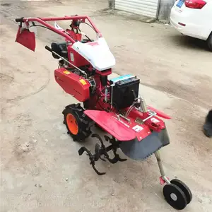 ���Ϳ����� ������¢�� �๦����԰������ ��п��������� ����ʽ������