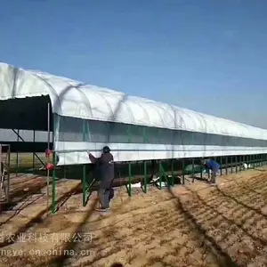 养殖温室大棚 智能温室监测系统 温室大棚贝塔农业
