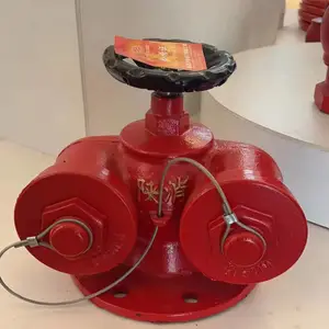 ��ɳ�๦��ˮ�ýӺ���SQD100-1.6150����ˮ�ý����