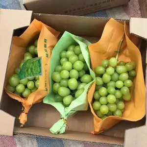 黄玫瑰葡萄苗 鑫权苗木专业出售 一年生苗木 全国发货
