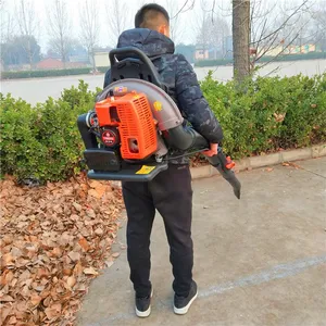 �ĳ���߲˴��ﱳ��ʽ��ѩ����������ʽ���������������·��ɨ��