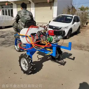 �������ֵ���ҩ�� ����̵������� ����ʽС��ֲ����ҩ����������