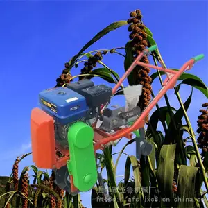 ���������׾����� �������С�������� ũ��С�����ײ��ֻ�