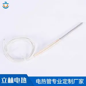 2mm单端电热棒80W医疗器材使用/立林电热