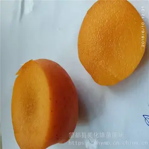 ����Ե ����÷�Ӽ۸� ��÷ ���ۼ۸�