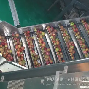 用苹果加工的浓缩苹果汁