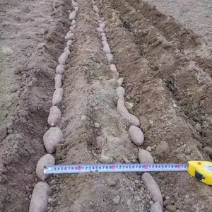 �ߵ����Ѷ��������������Ϻ�����