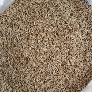 孜然粒 烧烤孜然调味撒料腌料蘸料粉香料羊肉串烤鱼 可磨粉