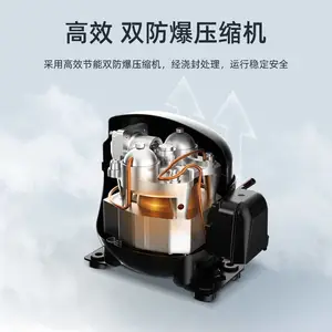 Ӣ����������318L***��ʵ���ҿ���˫������䶳BL-400SMSZ318L