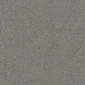 ����Ϳ���������������ʲô����������С��Ƥ�ʺϿ�����