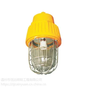 ��Զ�������ø�����������DGS70/ 127B(B) LED�������