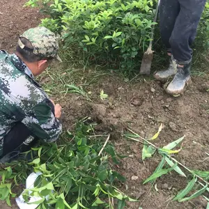 �ļ��� �����ϲ������̵��̻��õ�Ǥ��С��***�� �ͼ�����