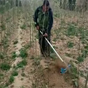 С��ũ�������� �ַ����ػ� ����ʮ�����΢����