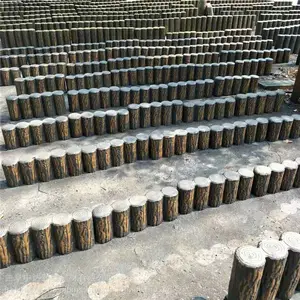 ������ľ��׮ �����ŷ�ľ׮����ǽ ����ƤΧ��