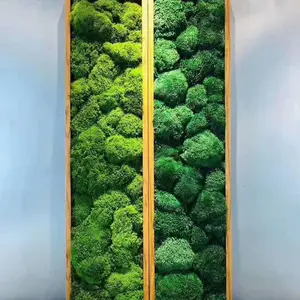沈阳永生苔藓是什么施工制作森美景观