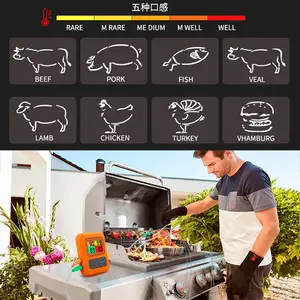 ���߷�ˮʳ���¶ȼƼ��õ��������¶ȼ��տ�BBQ �����¶ȼ�