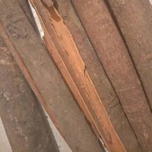 ��Ƥ����̹��ζ���Ϲ�Ƥ�ɻ������ϴ���±�Ϲ�Ƥ����ĥ