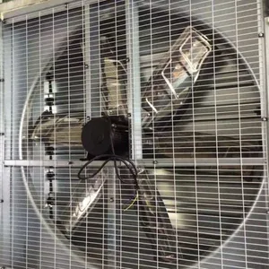 泉州车间排气排烟品牌