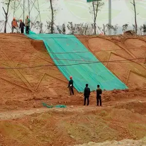 广东梅州市高速护坡种草籽绿化多少钱一平方