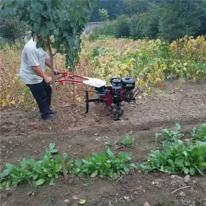 ���Ϳ�ũ����Ż�е �ʱ�С�Ϳ����� ҩ�ĵ����������