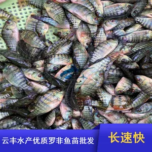 ����̨�����ʺ����޷����� ˮ���ƹ� �Ʒ��޷������ѧ�滮��ֳ