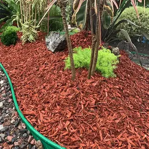 ��ɫ�л������� ���ض���̻��л������� ��������ľм������
