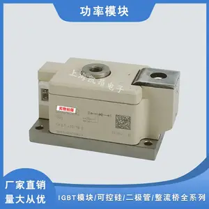 SKKQ31/12E�ֻ�ʵ��SKKQ230/14E SKKQ560/14 ���ſ���ָ�����ģ��