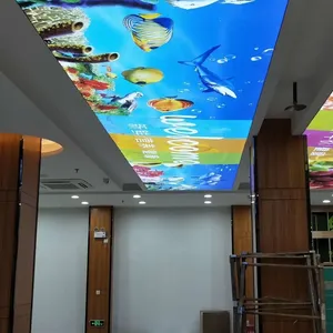 �ͲĿ������� ����˫��LED���� ͸��Ĥ ��Ĥ�컨 �ɶ��Ƽӹ�