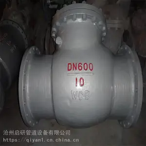 软密封球型止回阀 污水适用铸铁止回阀 启研长期加工定制