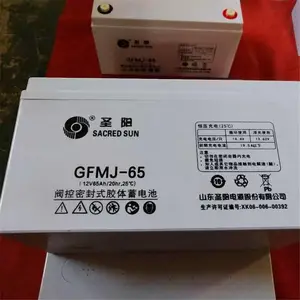 ʥ������DCS12-50 12V50AH�ͺŲ���
