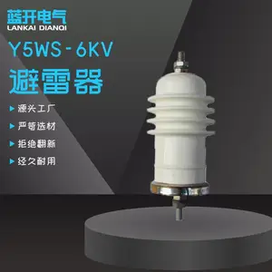 ����6KV�����ѹ��ɫ�մɽ��������������Y5WS-6KV ��ѹ������