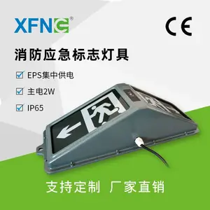 星孚智创 集中电源隧道应急洞口指示灯压铸铝外壳 IP65 24V供电钢化玻璃