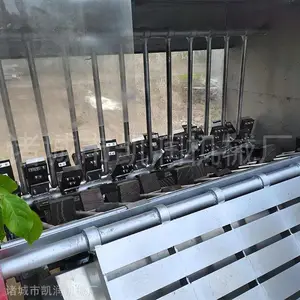 A��ë������ë�� ������ë�� ��������һ��������