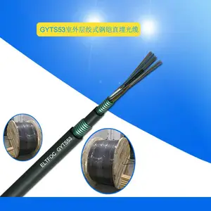 ELT12о��ģֱ��ʽ�ִ�����GYTS53����ֱ��