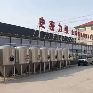 厂家直供｜精酿设备免费出方案
