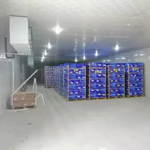 冷链仓库出租冷库出租恒温仓库出租冷冻仓库出租